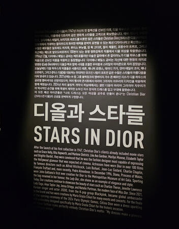 stars in DIOR