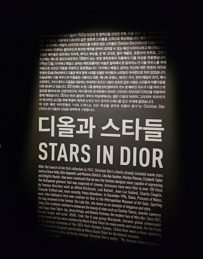 stars in DIOR stars in DIOR